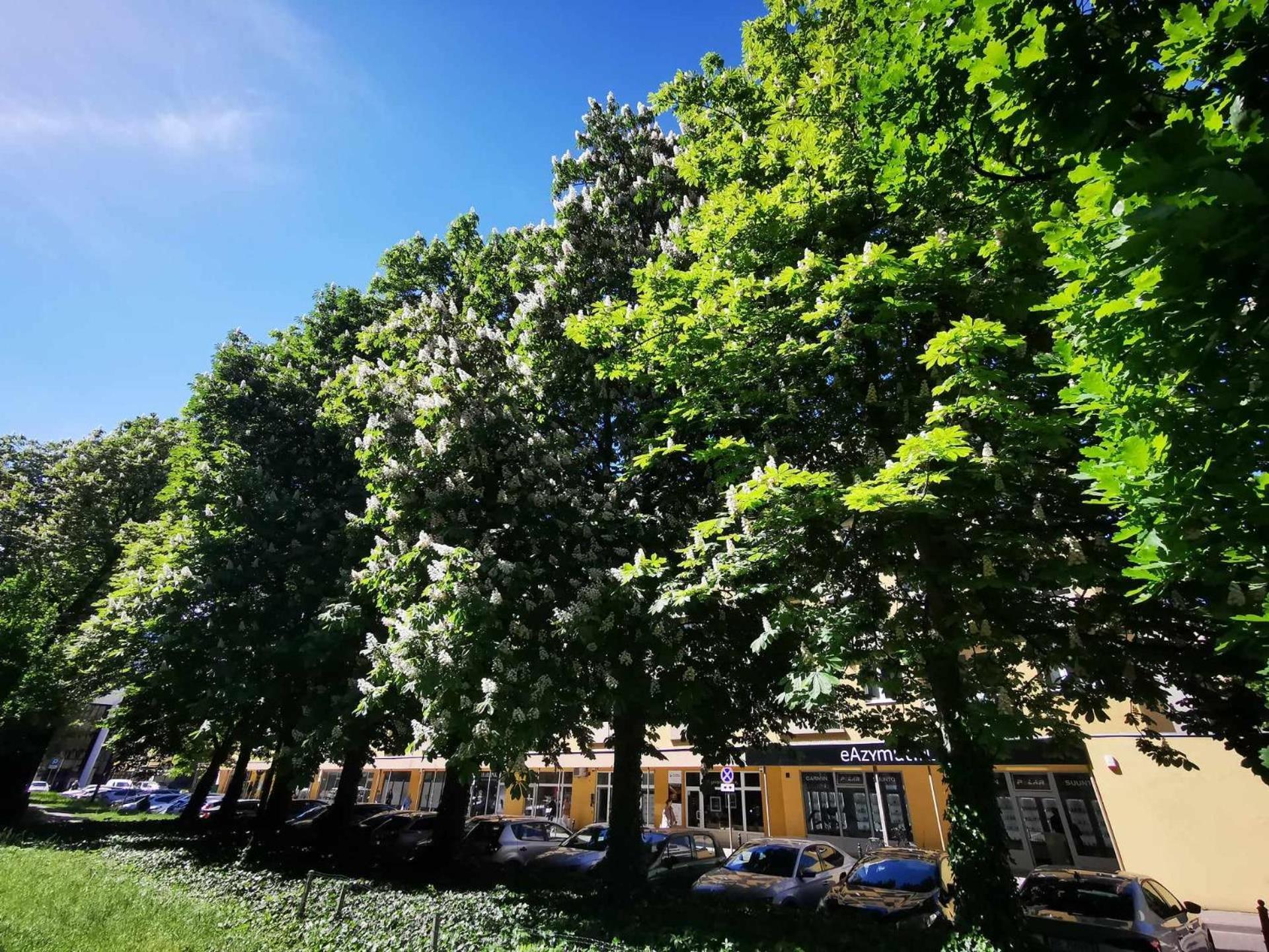 Corazziego Plac Bankowy Apartment Varsovie Extérieur photo